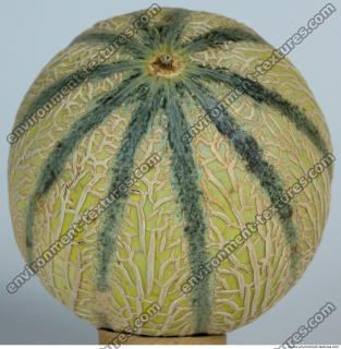 Melon Galia 0020